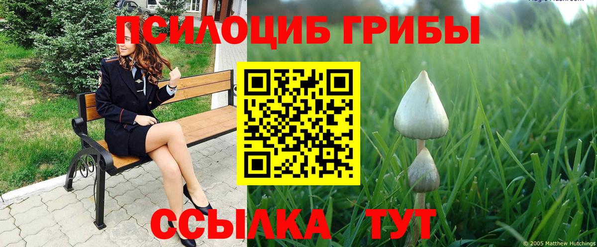 Псилоцибиновые грибы мицелий Александров