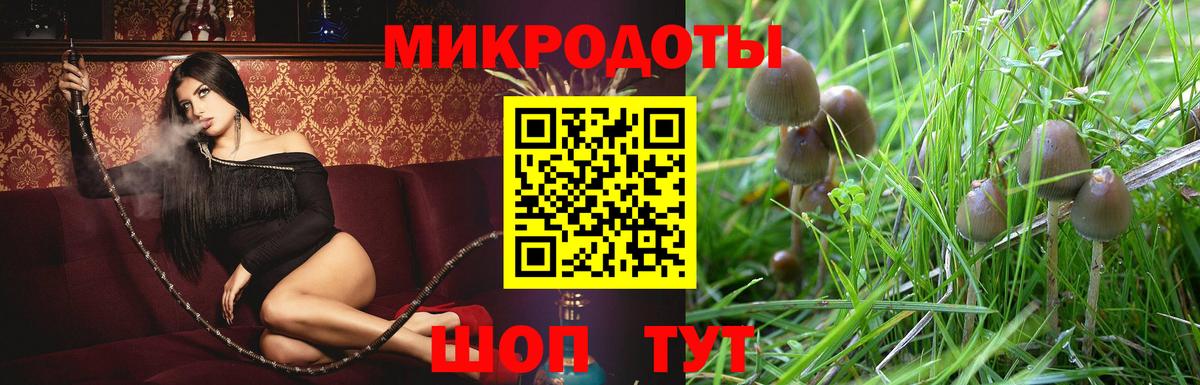 Псилоцибиновые грибы Cubensis  Вход с VPN  Александров 