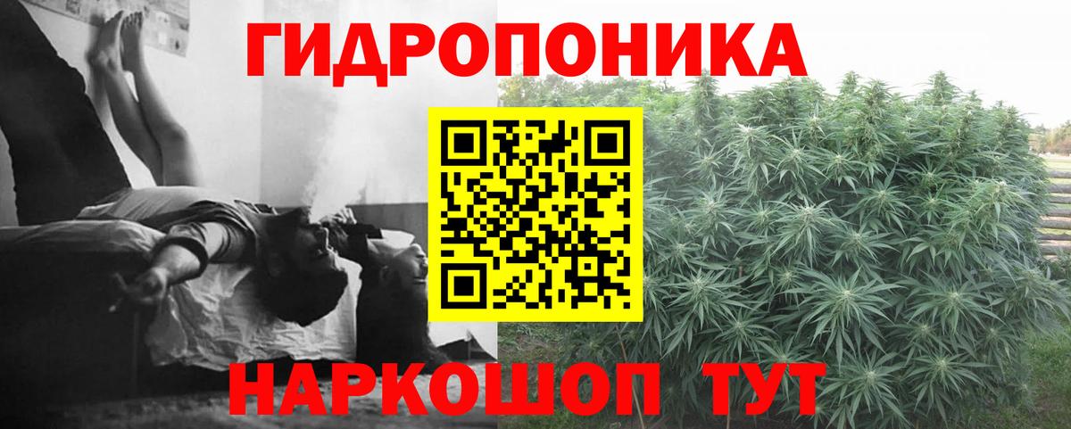 Шишки марихуана индика  Шишки марихуана Bruce Banner  Шишки марихуана Ganja  Вход с VPN  МАРИХУАНА OG Kush  Александров 